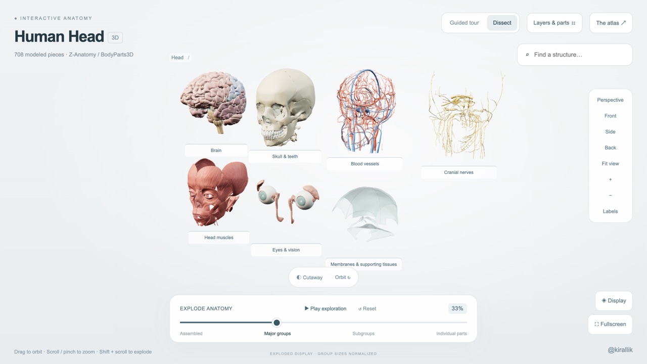 Human Head Atlas — Education, Visualization game